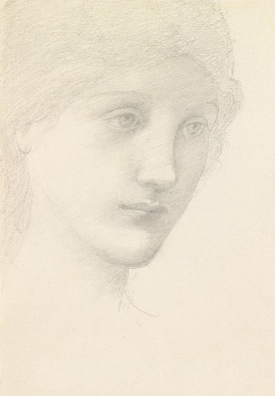 Study for the Venus in 